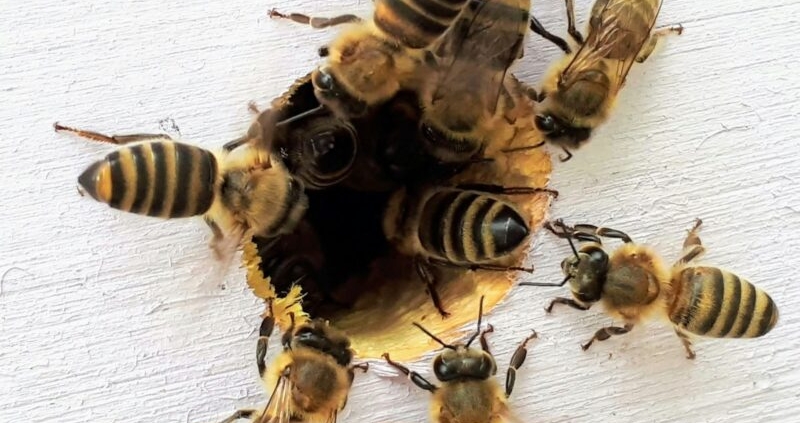 boba-jaglicic-EmwhXkCiMiA-unsplash-800x754-1