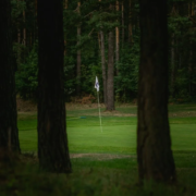 david-benes-1_Sw-nZ-r2c-unsplash-864x1536-1